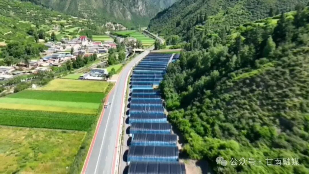 卓尼：生态与经济共生 产业与民生相融