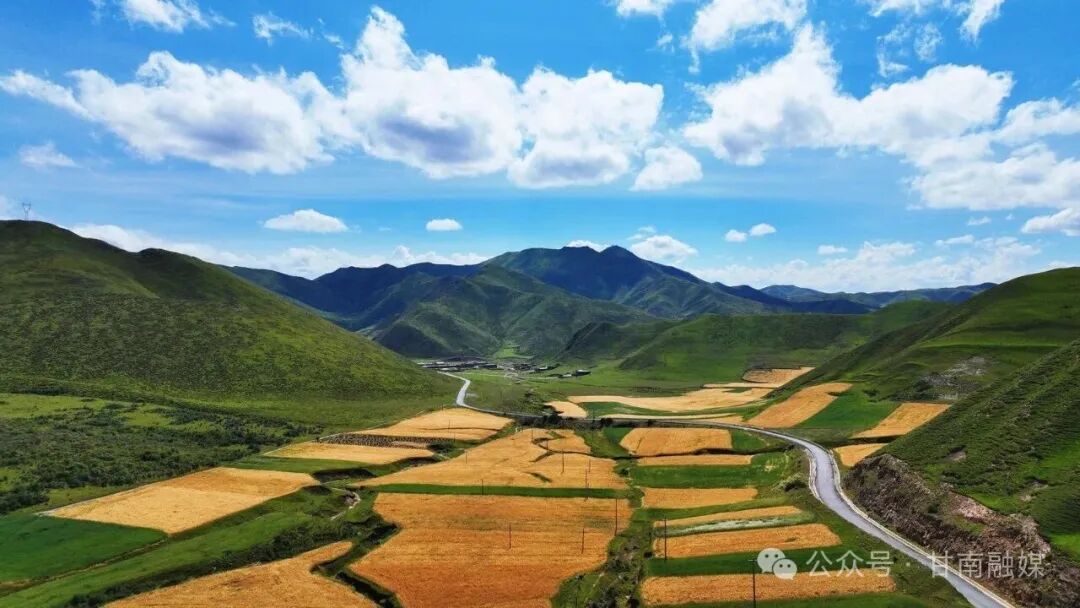 合作：深耕高原沃土 擘画振兴蓝图