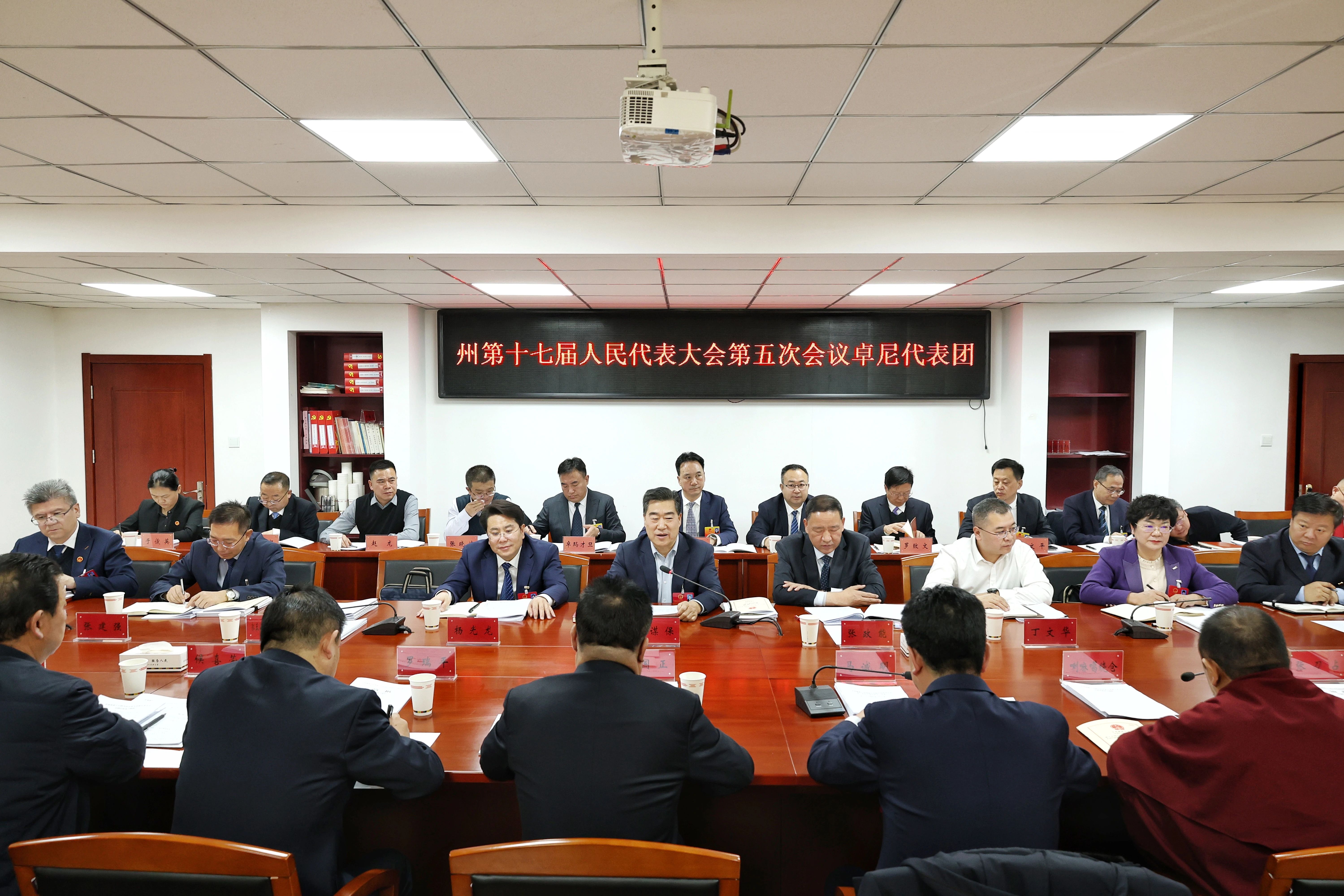 何谋保在卓尼代表团审议时强调 前瞻布局 扬优聚势 真抓实干 以县域高质量发展推动群众迈向共同富裕