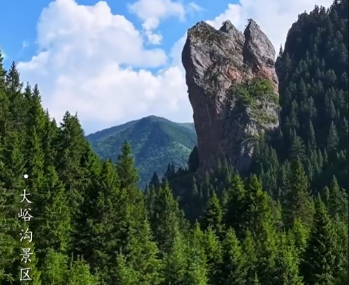 “圣境甘南·心灵之旅”第二届甘南之旅全球媒体发布系列活动丨听听国际友人怎么说 Tayo（尼日利亚）：“大峪沟治愈心灵，我想在这里生活”